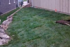 Sod Installation - FRESH GRASS - Kentucky Bluegrass North Bay Ontario 6