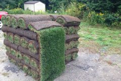 Sod Installation - FRESH GRASS - Kentucky Bluegrass North Bay Ontario 2